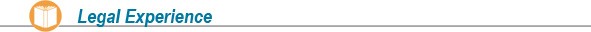 Expert Witness Legal Services expert witness legal services
