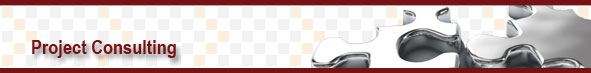 Project Managment Consulting project management consulting